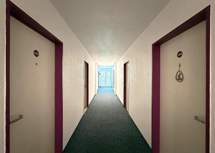 Fortuna 113 ロイカーバード